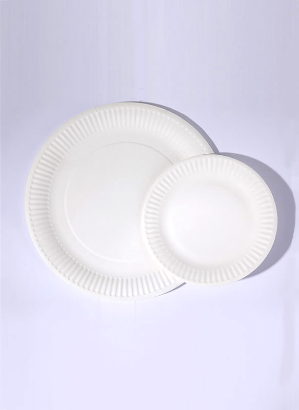 Assiette en carton ronde 6''-9''